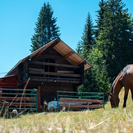 Vila Koliba Marijanovic Andrijevica Exteriér fotografie