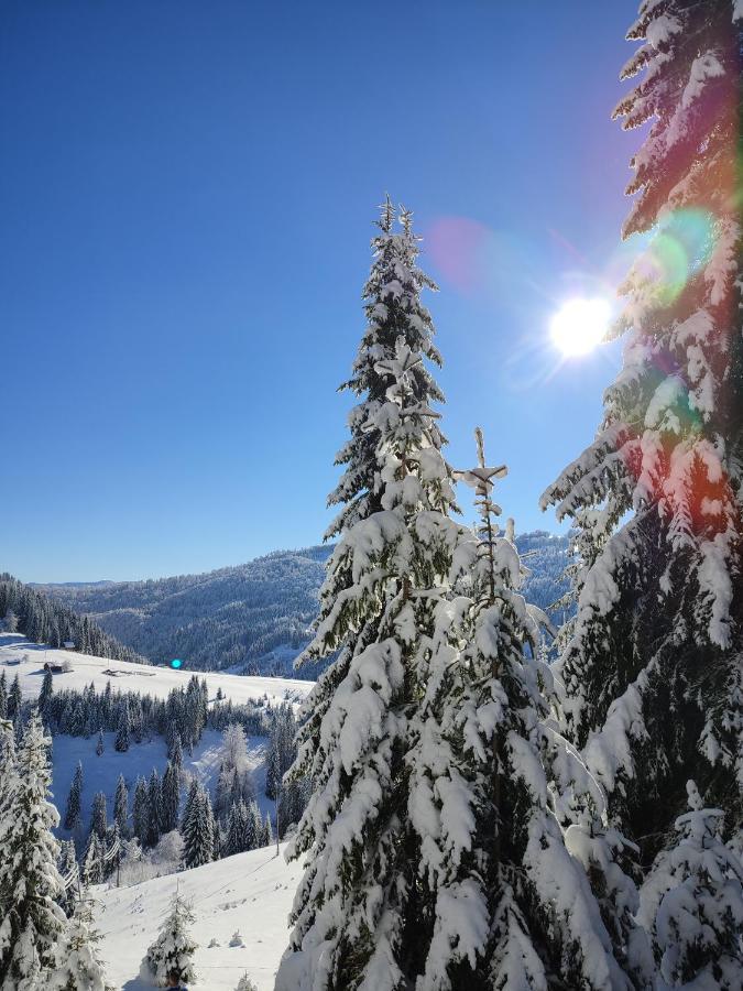 Vila Koliba Marijanovic Andrijevica Exteriér fotografie