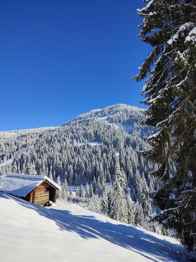 Vila Koliba Marijanovic Andrijevica Exteriér fotografie