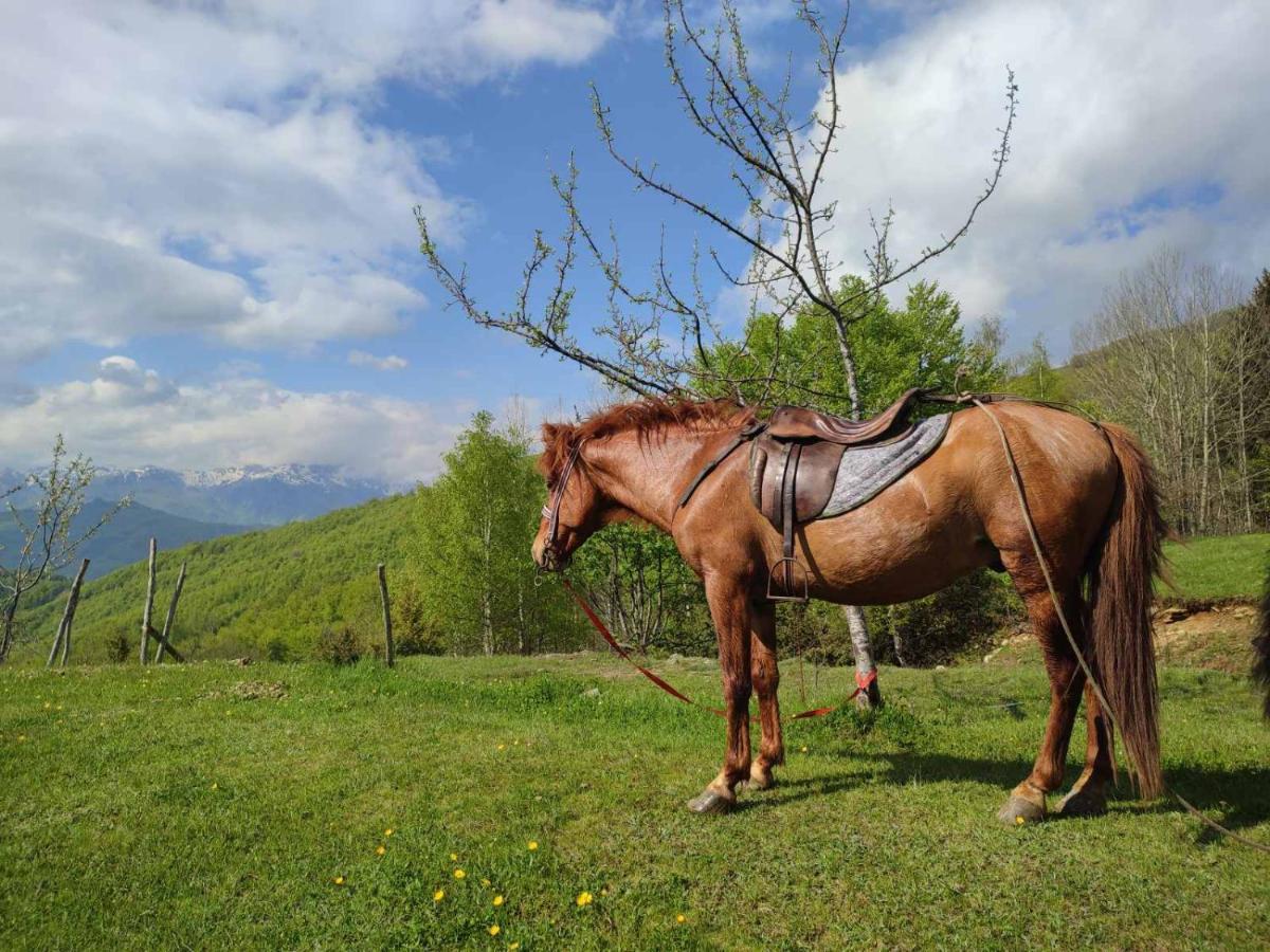 Vila Koliba Marijanovic Andrijevica Exteriér fotografie