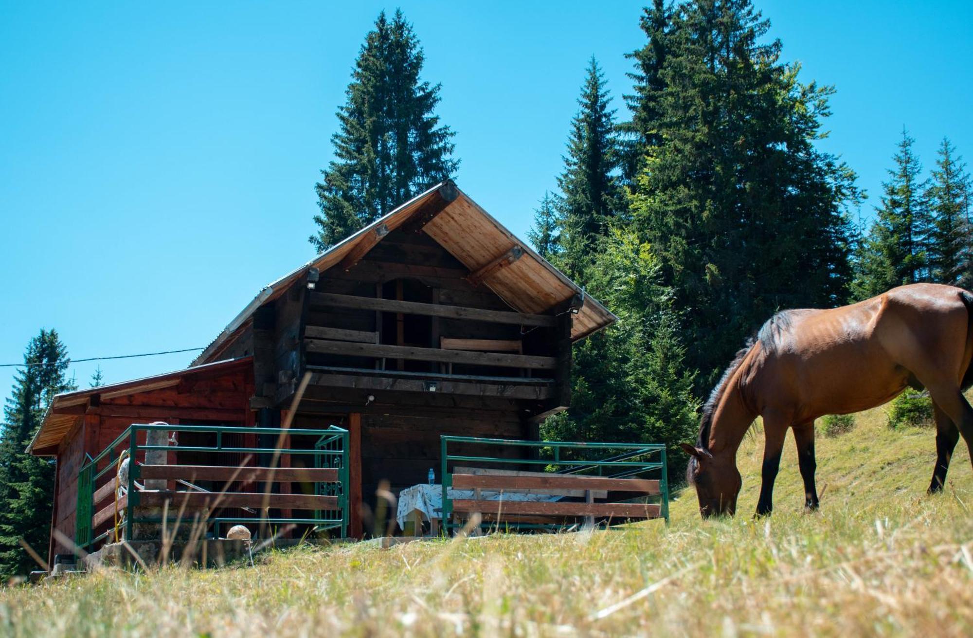 Vila Koliba Marijanovic Andrijevica Exteriér fotografie